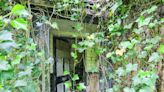 Inside the derelict hidden house so overgrown it can't be seen from passing road