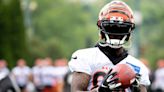 Expert brings up good point about Tee Higgins and Bengals’ WR spot