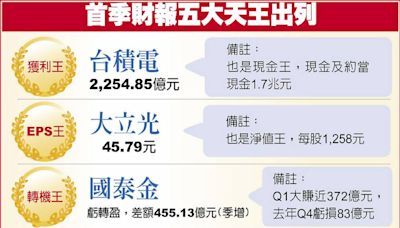 首季財報五天王 台積獲利王