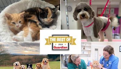 Guardian readers choose their top ten places that are perfect for pets