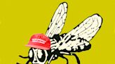 Eww world order: How the right-wing became obsessed with eating bugs