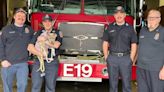 La conmovedora historia de Auburn, la cachorra que conquistó el corazón de un escuadrón de bomberos en NY
