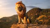 Lion King prequel movie's first trailer is coming today