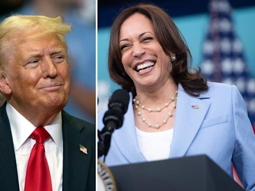 Trump chickening out from debates with Kamala, says won't agree to anything; Democrats feel he's afraid