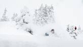 Dancing in the Snow Globe