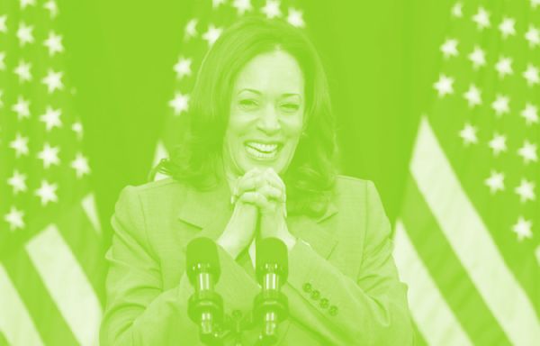 Confused On What “Kamala Is Brat” Means? I Gotchu