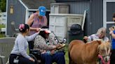 Local equine center allows seniors to experience horses in a different way