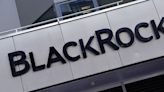 BlackRock whistleblower alleges cover-up of search engine to spot Chinese investments