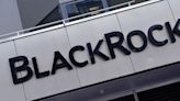 BlackRock pushed Anglo to extend talks with BHP, FT reports