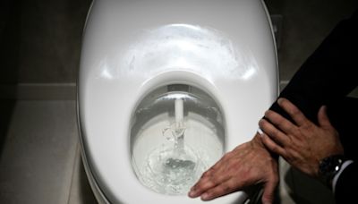 Feeling flush: Japan’s high-tech toilets go global