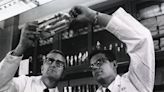 Paul Parkman (1932-2024), o cientista que inventou a vacina da rubéola