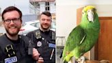 Bird Owner Gets Surprise Police Visit After His Loud Parrot Is Mistaken for a Screaming Woman