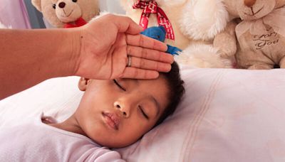 高雄8歲男童流感併發重症亡 疫調同住家人無症狀 - 自由健康網