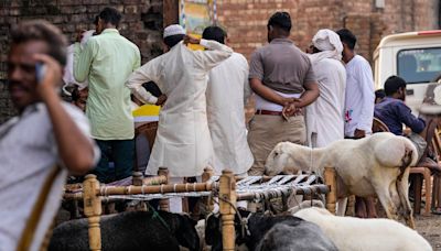 Social Media Post On Alleged 'Animal Slaughter' Sparks Communal Tensions, Vandalism In Himachal's Nahan