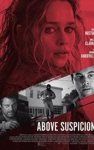 Above Suspicion (2019 film)