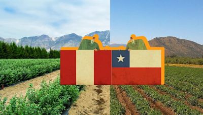 Perú estima que superará a Chile en el 2027 en agroexportaciones, ¿cuáles son los productos más solicitados?