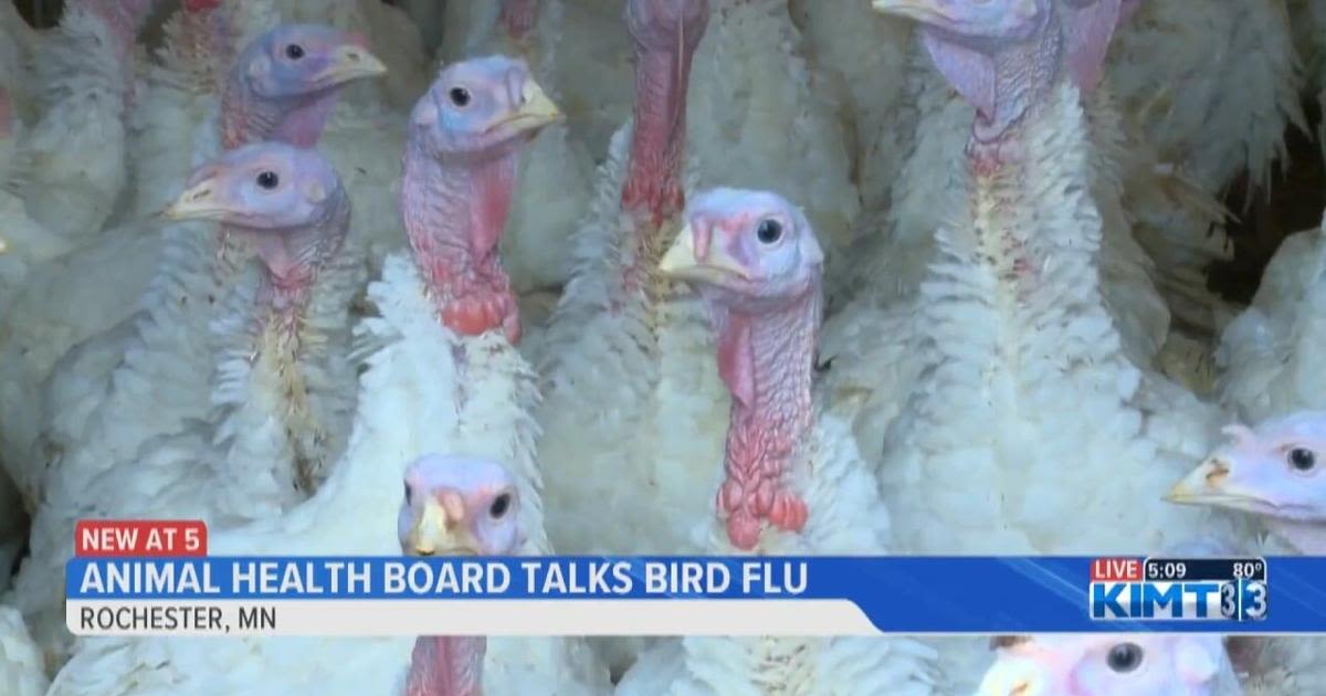 Minnesota Animal Health Board talks Avian Influenza updates in the state