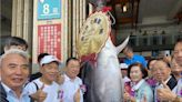 驚傳「黑鮪魚」價格大崩盤！蘇澳區漁會：沒有的事 - 生活