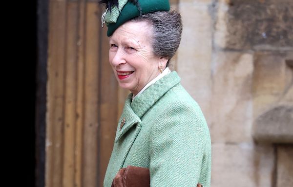 Princess Anne Released From Hospital After Sustaining Head Injury