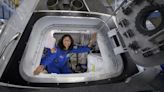 Gardening, vein scans & more: What Sunita Williams, stuck in space for 50 days, is up to