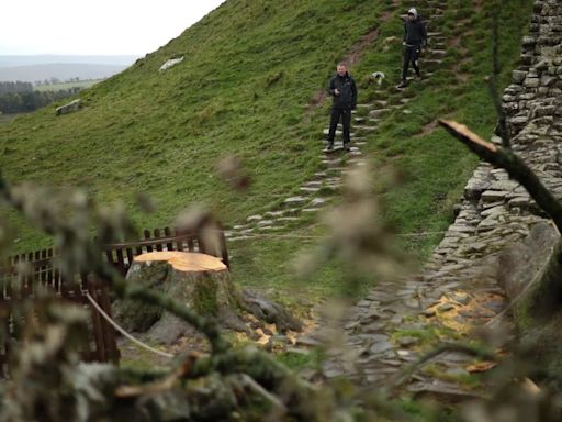 Dos acusados de talar el sicomoro conocido como el "árbol de Robin Hood" en Inglaterra