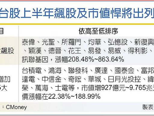 勇猛 上半年飆股、市值悍將出列