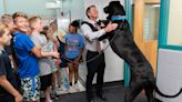 National Dog Day comes once a year, but these Topekans celebrate their furry friends daily