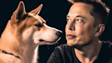 'I Will Keep Supporting Dogecoin,' Said Elon Musk One Summer— Here's How Much DOGE Has Gained Since Then