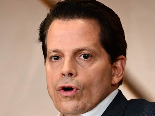 Anthony Scaramucci Reveals 'Nervous Tic' That Shows Trump Is Feeling The Heat Right Now