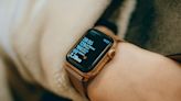 Affordable Plastic Casing for Apple Watch SE; Apple Watch Series 10 Health Features Delayed - EconoTimes