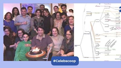 Reddit user shares diagram explaining Kapoor family tree, fans say 'trigonometry is easier'