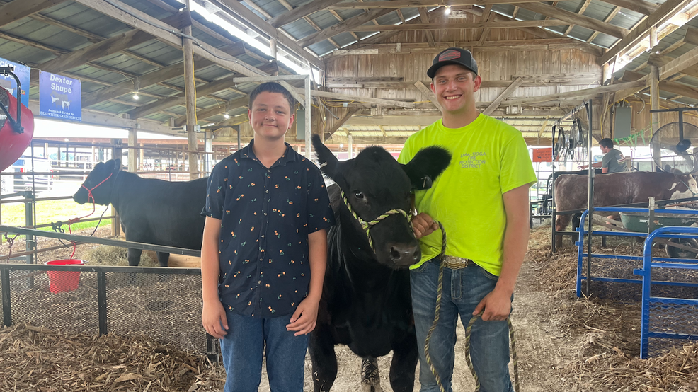 Early mornings mark the start of preparations for livestock shows at the fair