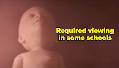 6 Misleading Or Inaccurate Statements This Viral Fetus Development Video Makes, As It'll Be Required Viewing In Some Schools