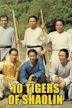 Ten Tigers of Shaolin