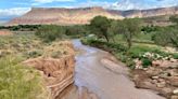 Is it safe to swim? Toxic algal blooms persist in Virgin River