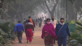 The Pervasive Impact of Pollution on Wellbeing: Unveiling the Long-Term Effects - ET HealthWorld