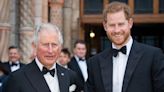 Harry and Charles 'further past the conflict than we think'