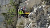 Rope team rappels down into a rock quarry to rescue a mutt named Rippy