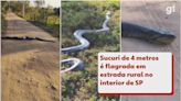 VÍDEO: cobra sucuri de 4 metros é flagrada atravessando estrada rural no interior de SP