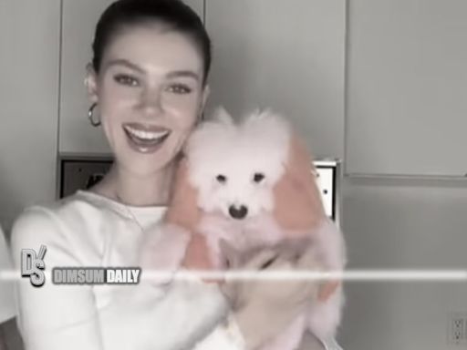 Nicola Peltz Beckham faces backlash for dyeing pet dog following grooming controversy