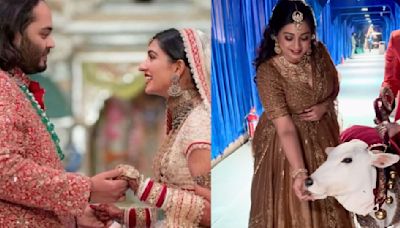 WATCH: Shreya Ghoshal gives a sneak peek into ‘cutest guests' at Anant Ambani-Radhika Merchant’s wedding; Fans react