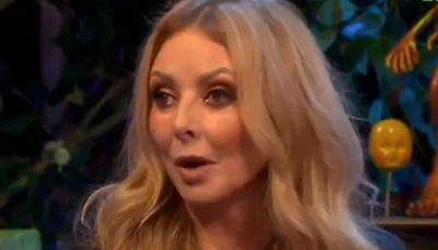 Carol Vorderman sparks 'hypocrite' row with Keir Starmer 'apology' remark