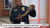 NYPD Claims Bike Chain Sold By Columbia's Public Safety Department Is Proof 'Professionals' Are Behind Campus Protests