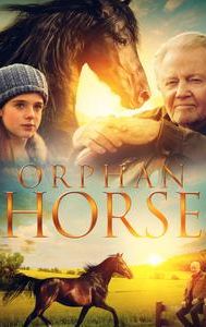 Orphan Horse