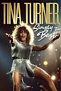 Tina Turner: Simply the Best