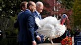 5 fun facts about the annual turkey pardon