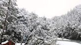 La Patagonia, vestida de blanco, suspira por las casas del árbol noruegas - Diario El Sureño