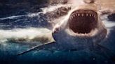 6 US beaches most prone to shark encounters