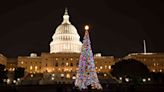 22 Washington D.C. Christmas Festivities To Experience