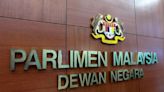 Putrajaya delays power conservation law in Senate over Sarawak lawmakers’ autonomy concern